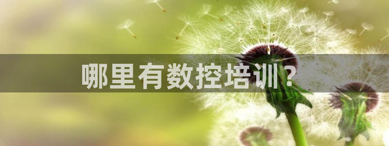 天辰娱乐39974神