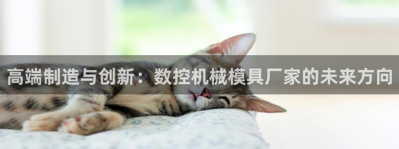 天辰娱乐总管年薪