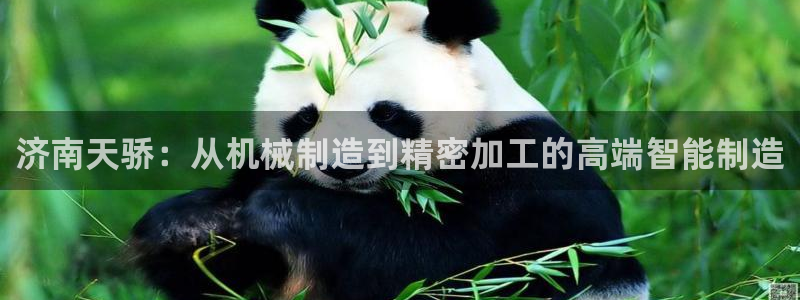 天辰娱乐官方登录入口