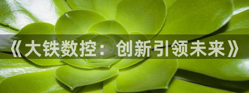 天辰娱乐的网址首页