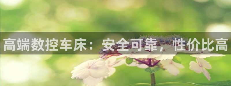 天辰辰娱乐代理