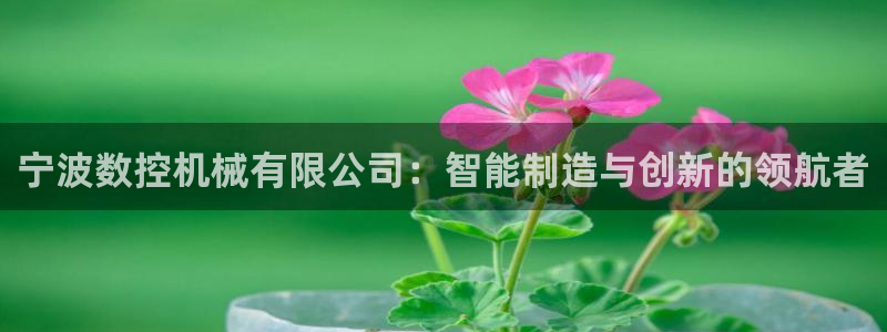 天辰娱乐怎么样