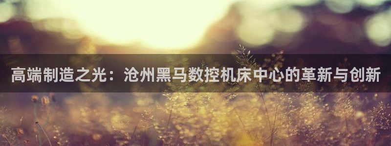 大同天辰娱乐