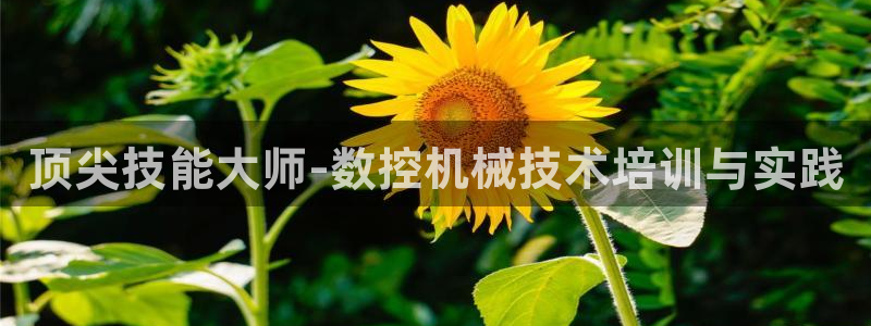 天辰娱乐885544