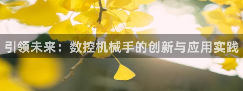 天辰娱乐棋牌