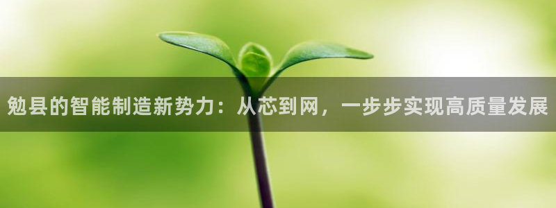 天辰娱乐小妹