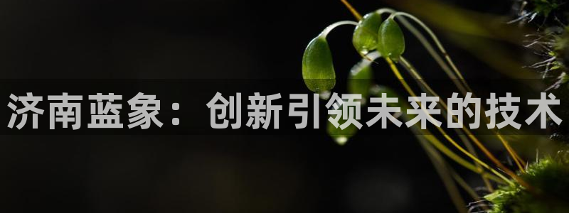 天富娱乐天辰娱乐