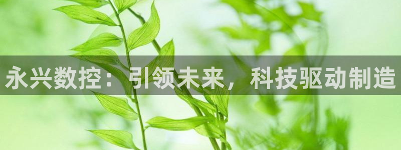 天辰娱乐输了