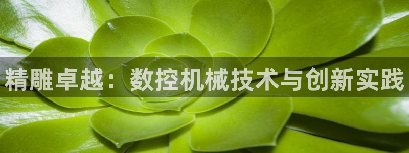 天辰娱乐10086