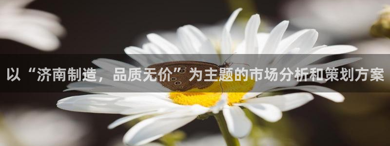 天辰娱乐1966