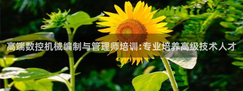 天辰娱乐新
